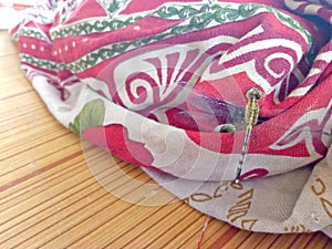 Dragonfly photo